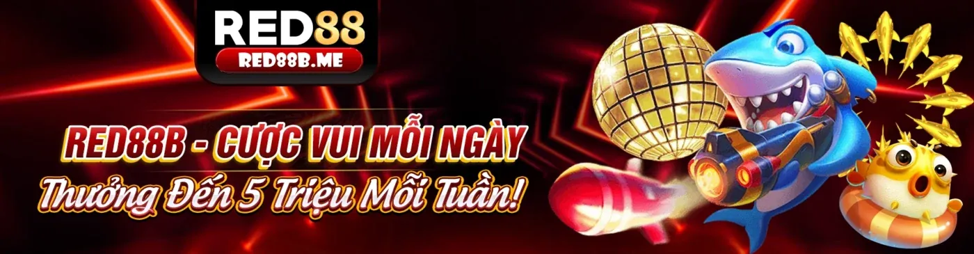 Thomo 888 nền tảng cá cược trực tuyến hàng đầu
